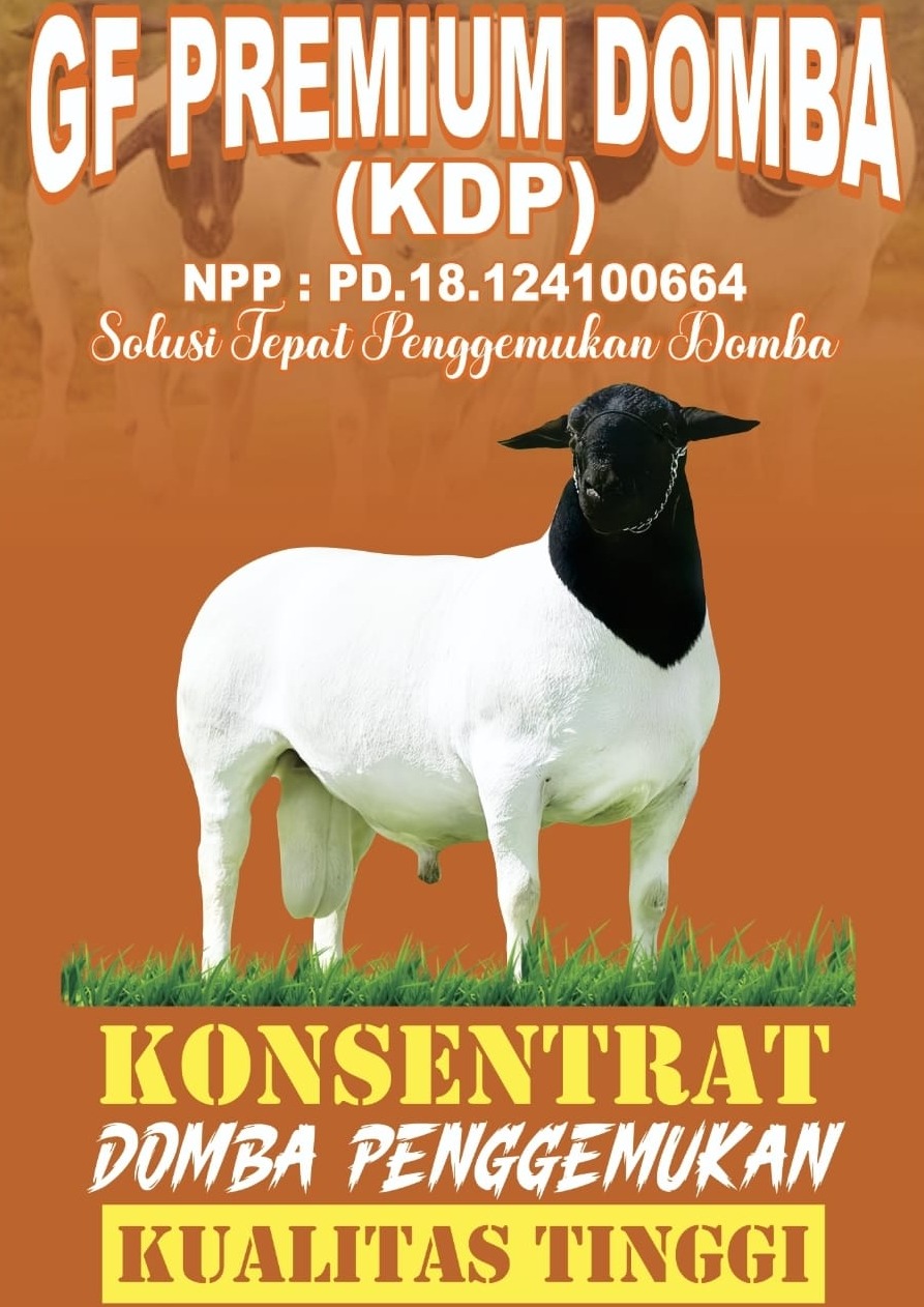 animal feed, pakan ternak, pakan domba, pakan sapi